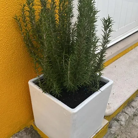 Βίλα Rio D'sal Alcochete