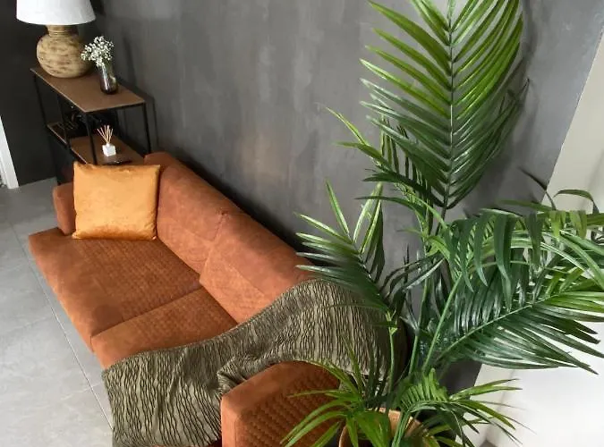 Rio D'sal * Алкошети