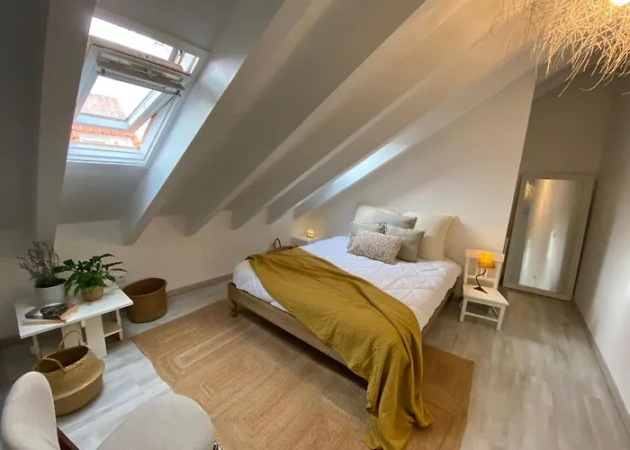 Rio D'sal Алкошети